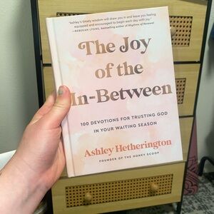 The Joy of the In-Between Book